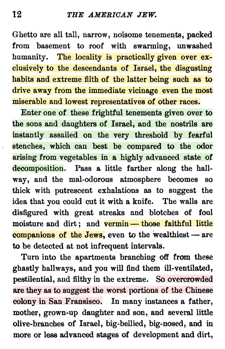 Image 39 - 39_1264903175003418629.jpg
